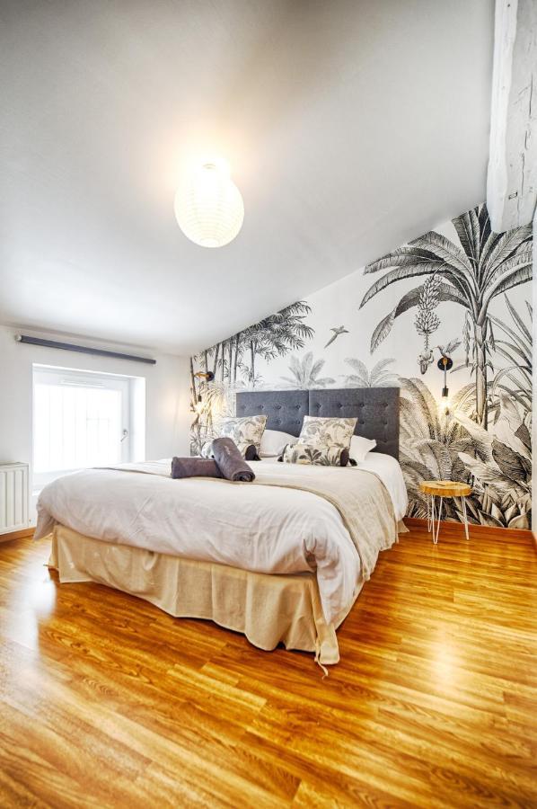 Le Raphael Centre Historique Apartment Le Puy-en-Velay Luaran gambar